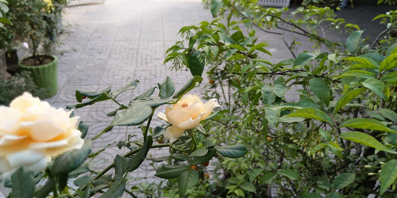 Backpackers Hotel Hà Tĩnh Exterior foto